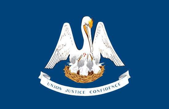 Louisiana flag